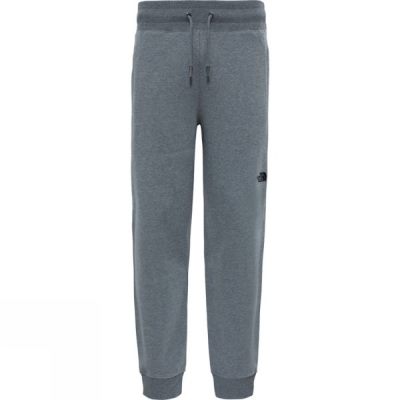 Pantalones The North Face NSE Hombre - Gris - Chile GKE035746